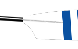 Championnat de France Seniors Sprints 