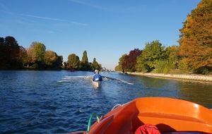 Club ouvert le jeudi 1er novembre